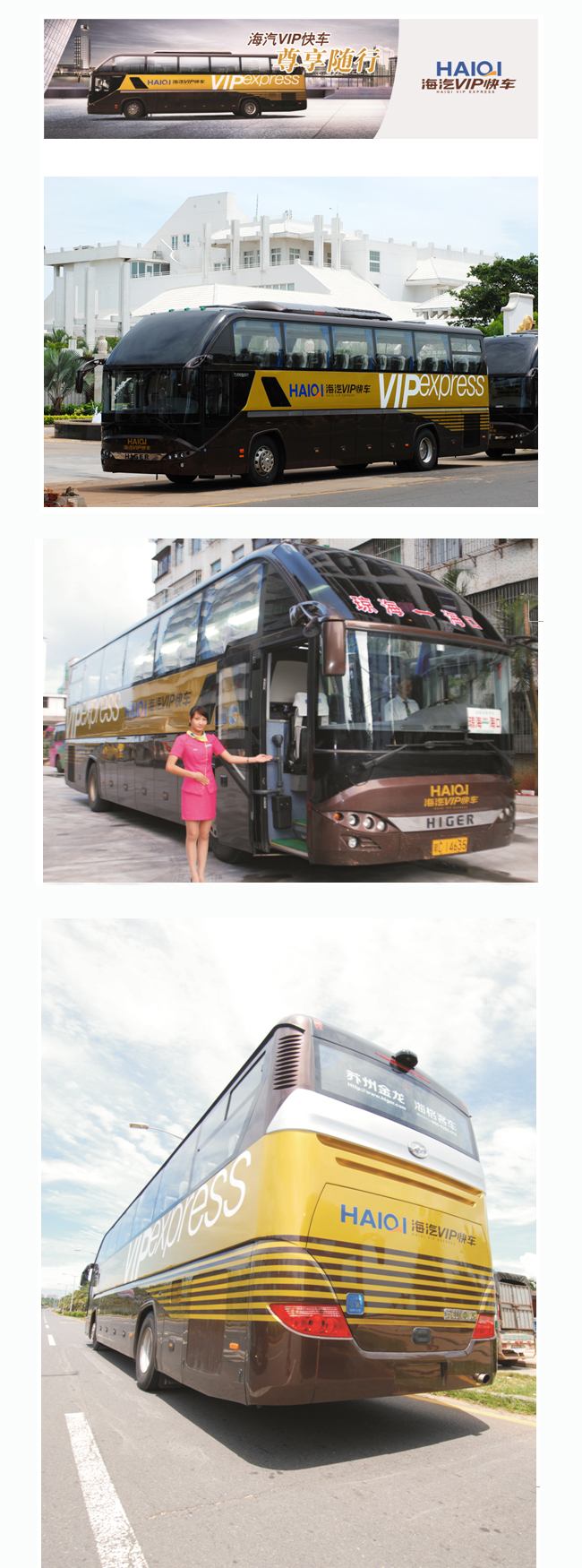 新宝GGVIP快车1.jpg
